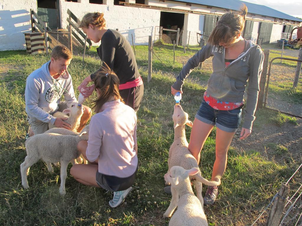 Ganora Guest Farm, Camping And Excursions Nieu-Bethesda Kültér fotó