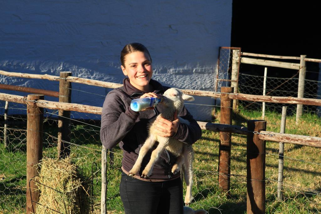 Ganora Guest Farm, Camping And Excursions Nieu-Bethesda Kültér fotó