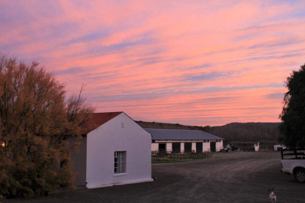 Ganora Guest Farm, Camping And Excursions Nieu-Bethesda Kültér fotó